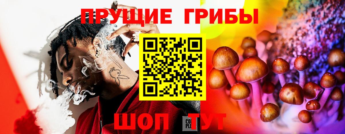 Надым  Галлюциногенные грибы мухоморы  Псилоцибиновые грибы Psilocybe  Вход с VPN 