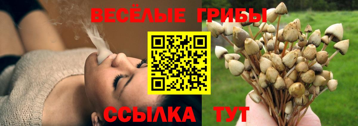 Галлюциногенные грибы Magic Shrooms Надым